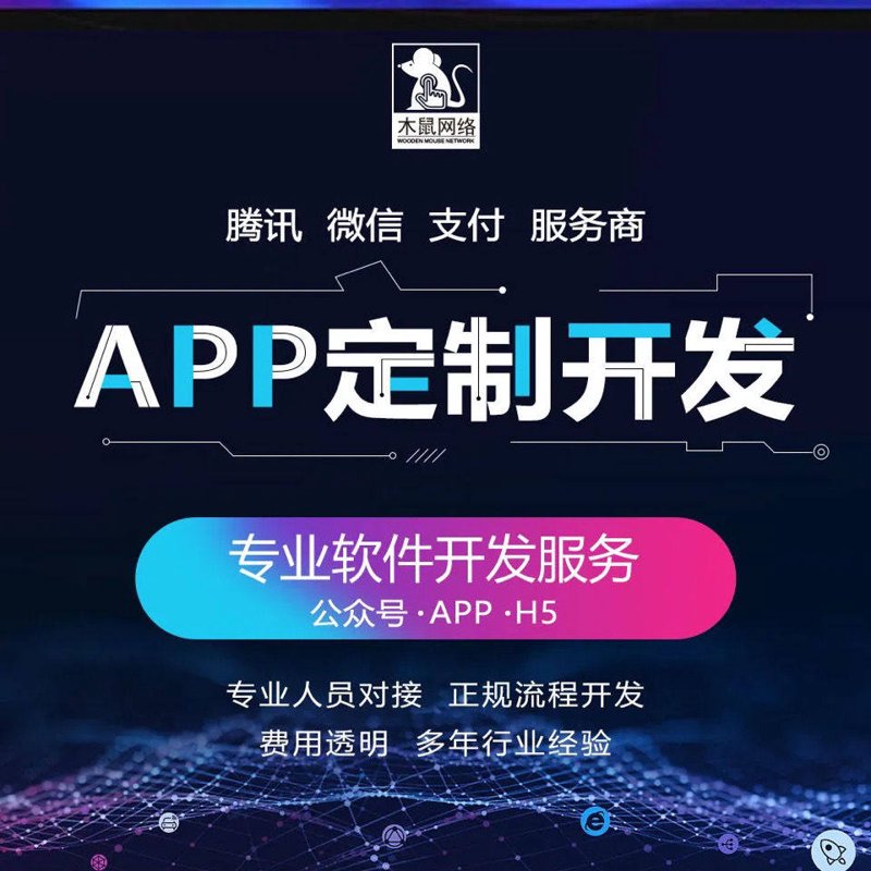 系统集成：企业信息化的加速器