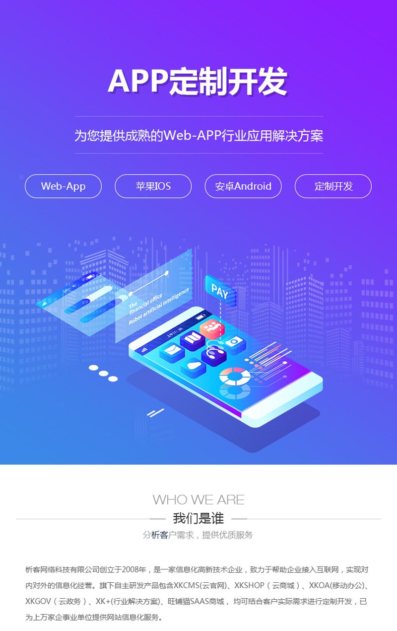 系统集成：信息技术的桥梁